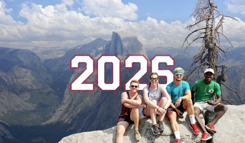 Yazın tadını çıkar