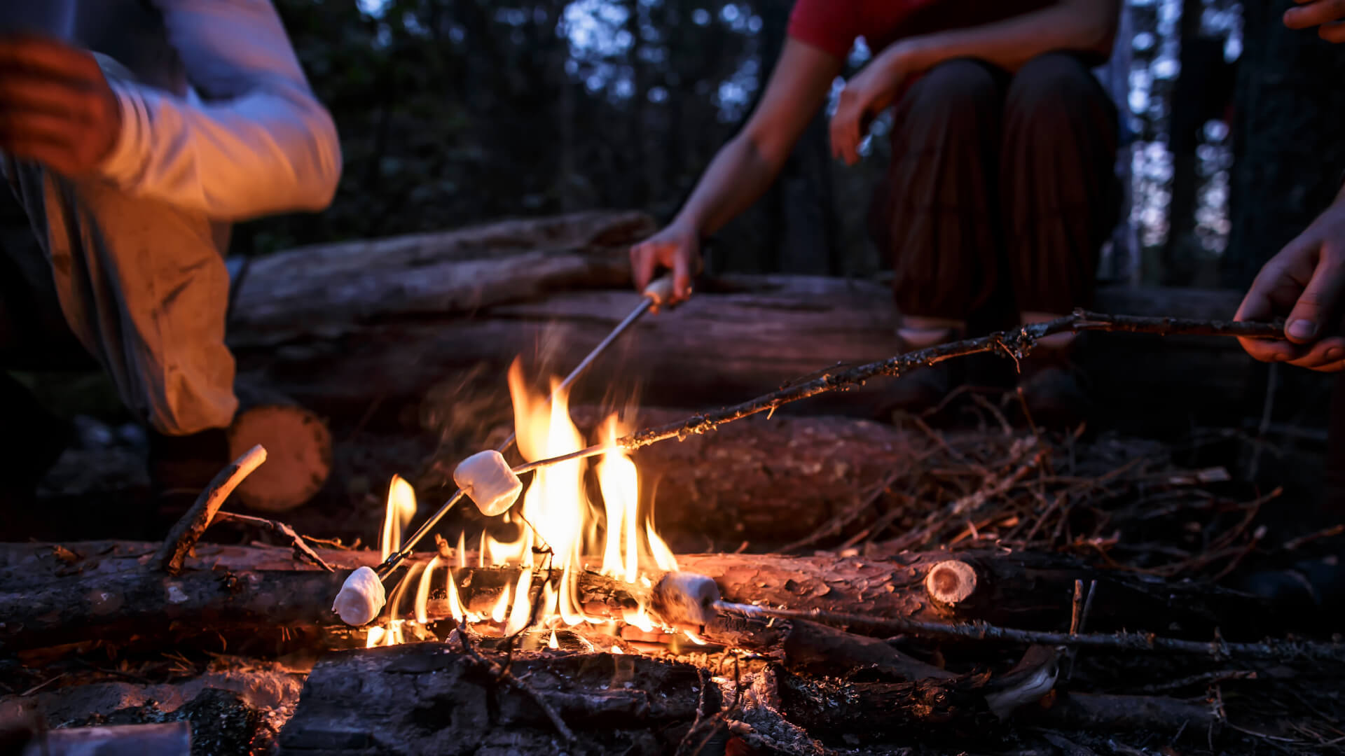 An image  of a Campfire which is lit